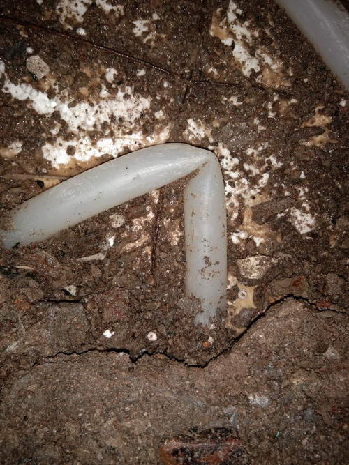 聂荣堵点精准查找